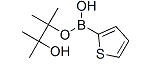 CAS:193978-23-3  噻吩-2-硼酸频哪醇酯