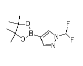 CAS：1206640-82-5  1-(Difluoromethyl)-4-(4,4,5,5-tetramethyl-1,3,2-dioxaborolan-2-yl)-1H-pyrazole