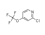 CAS:1206975-33-82  2-chloro-4-(trifluoromethoxy)pyridine