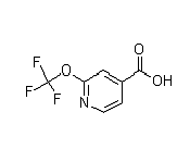 CAS:1221171-98-7  2-(trifluoromethoxy)isonicotinic acid