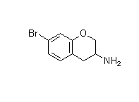 CAS：944899-69-8  7-bromochroman-3-amine